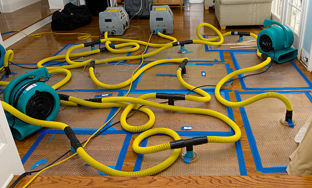 Professional Crawl Space Water Removal technician working in Davilla, TX